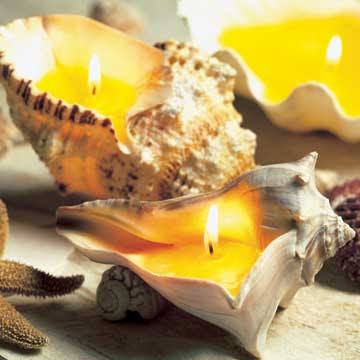 Seashell Candles