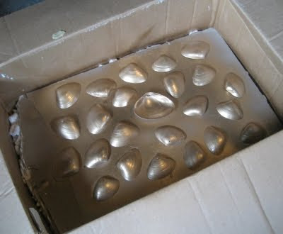 spray painting seashells in box