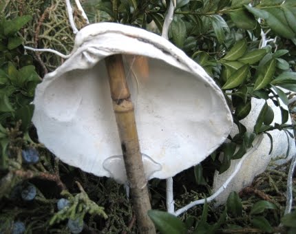 shells hot glued on sticks