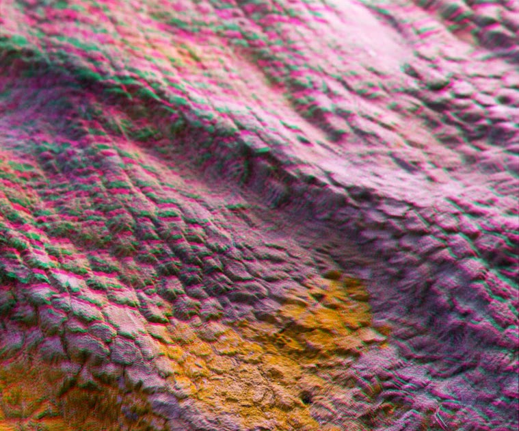 hadrosaur skin