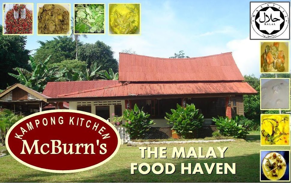 McBurn's/Home_malay: Bony Beef & Coconut gravy / Masak 