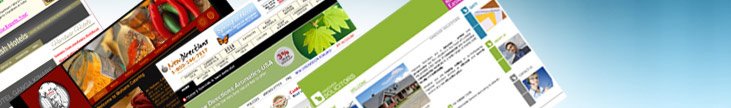 Software and Web Development Company