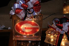 Team Logo Night Lights