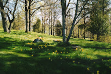 Arboretum