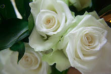 Vackra vita rosor till en grav