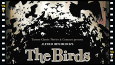 the_birds_film