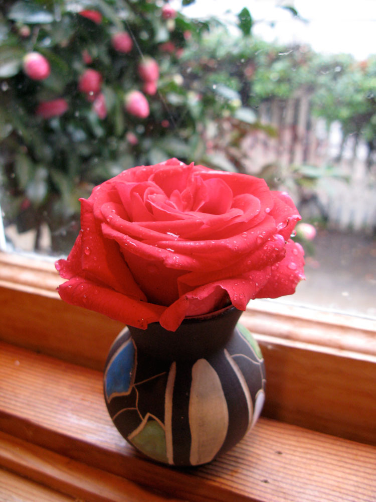[rose.jpg]