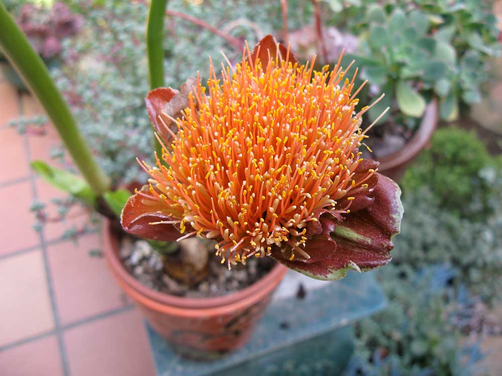 [garden4.jpg]