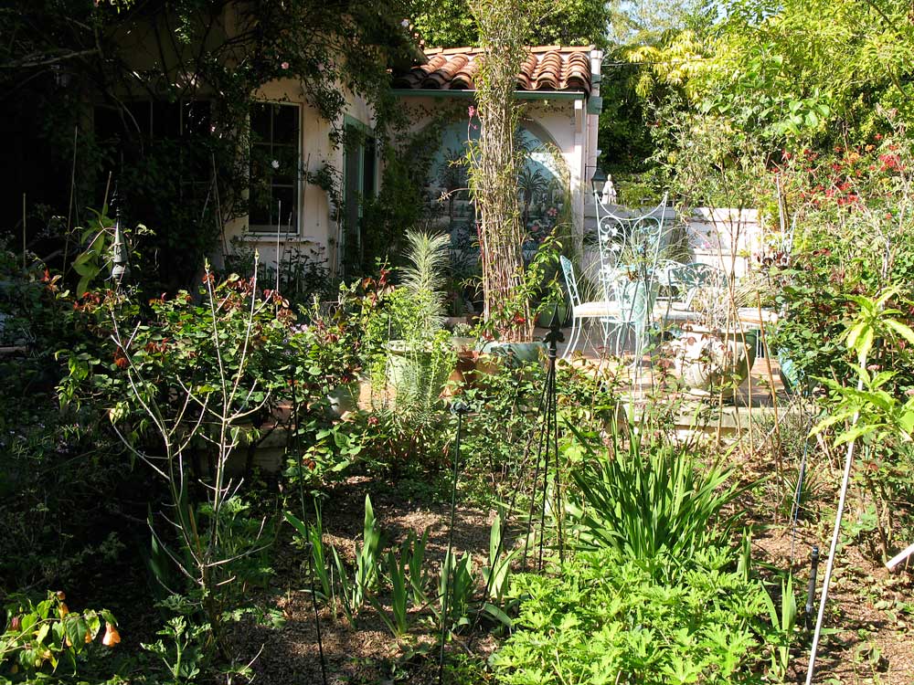 [garden7.jpg]