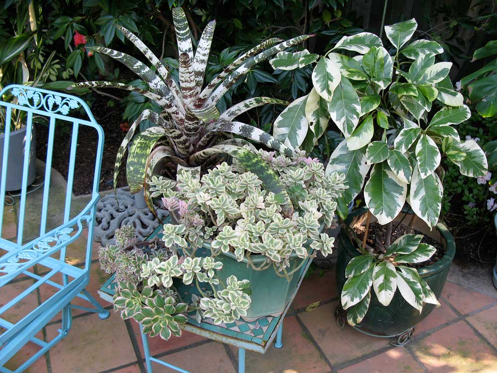 [garden6.jpg]