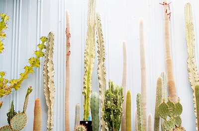 [3036377637_6721456ca9_o-1.jpg]