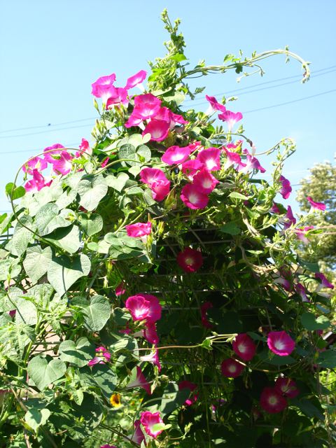 [IMG_5349.jpg]
