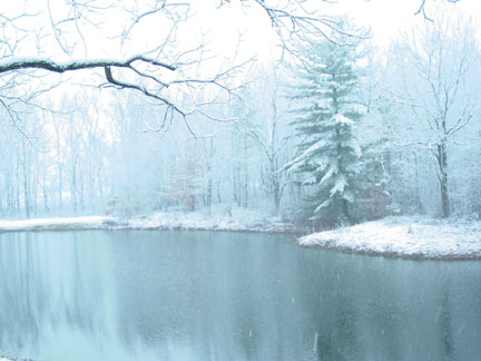 [snow02.24.05.jpg]