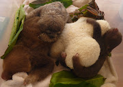 babies and sloth wee