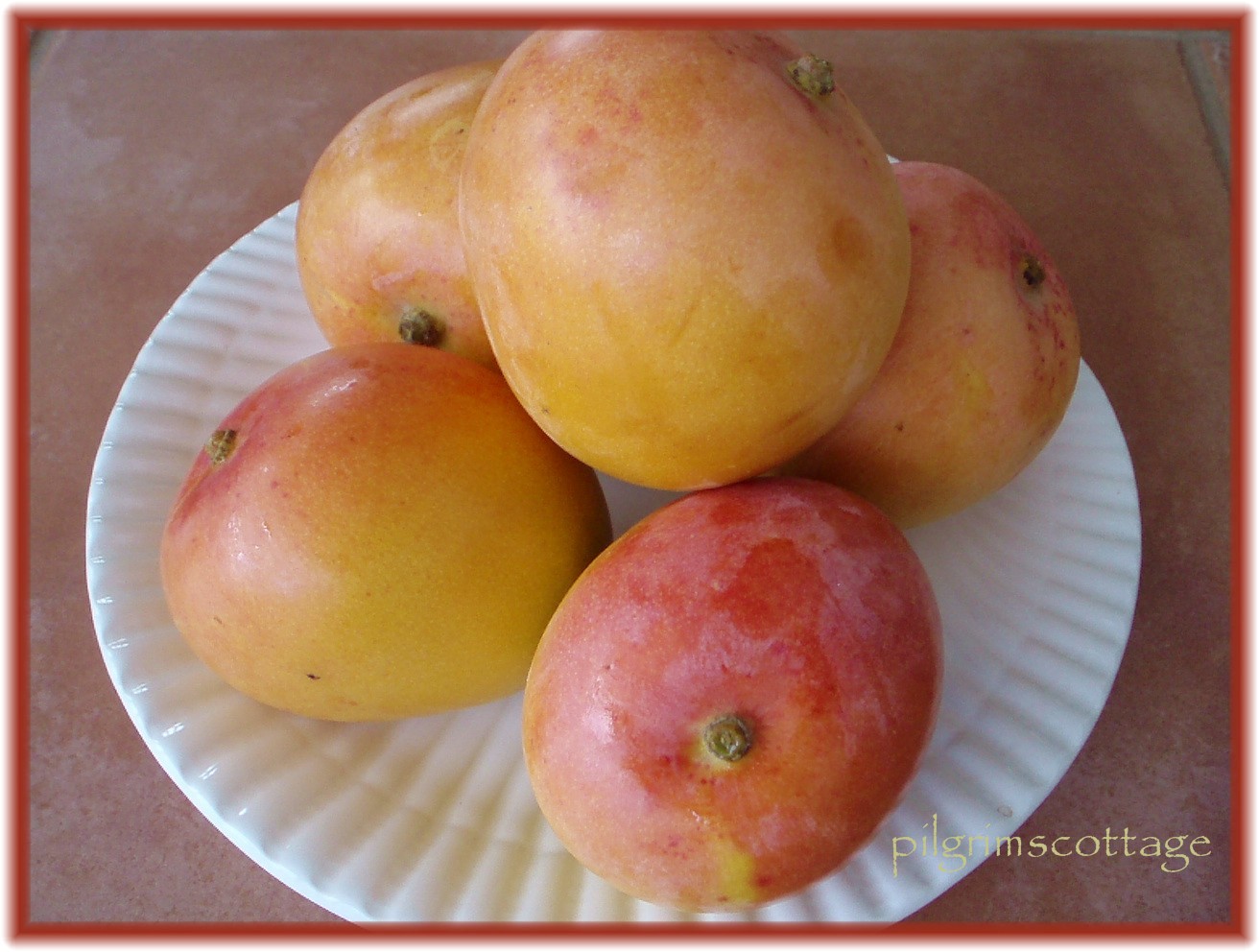 Cottage Life on Pilgrim's Farm When Mangoes are in Season...