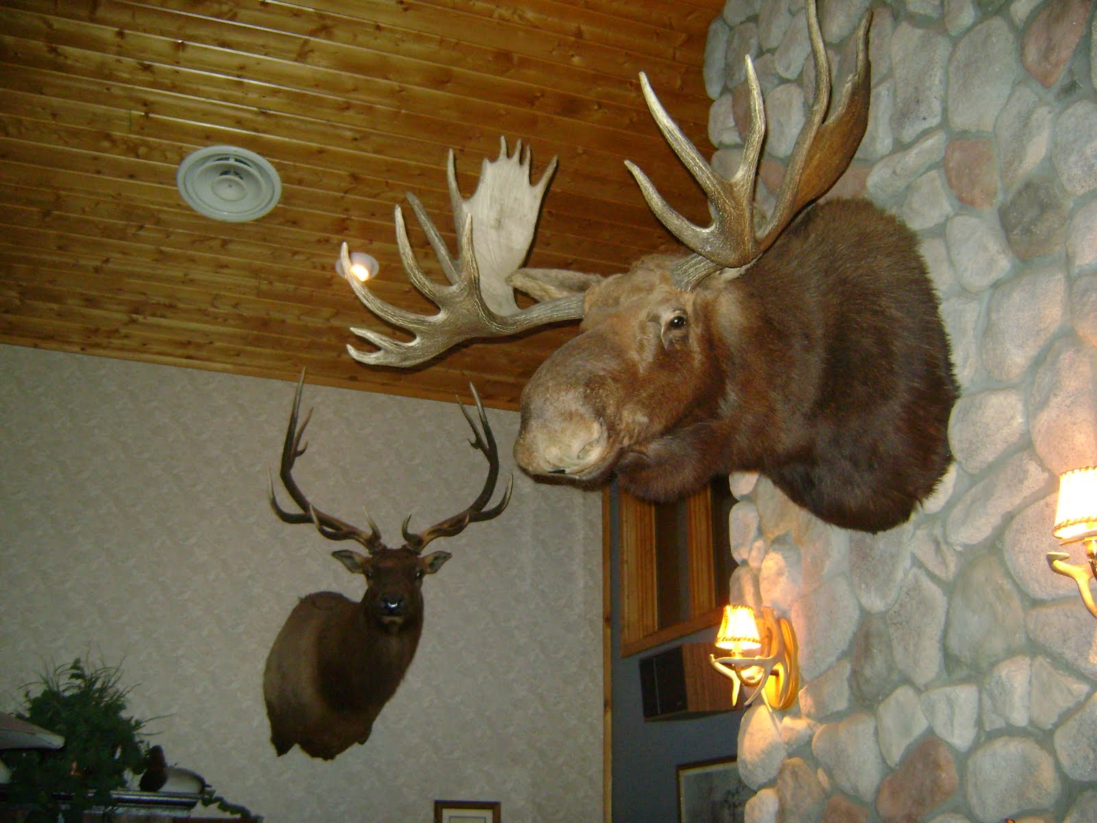 [perch+express+day+2+002.JPG]