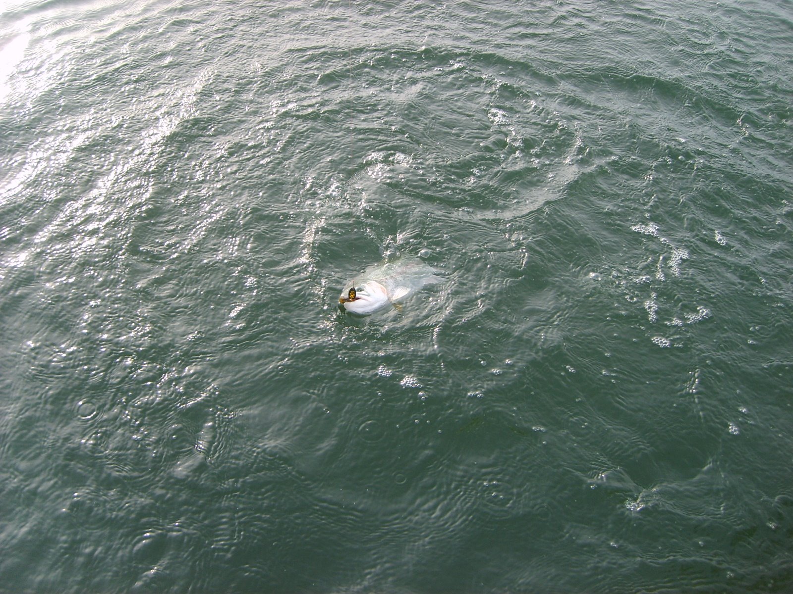 [Fishing+at+the+Lake+145.JPG]