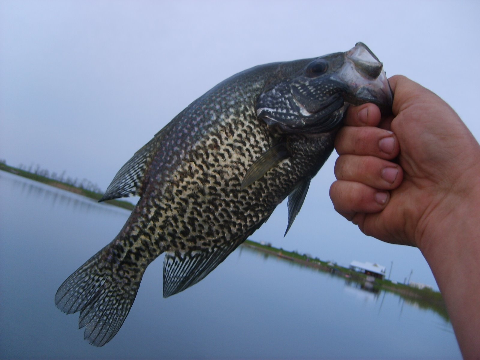 [Fishing+at+the+Lake+026.JPG]