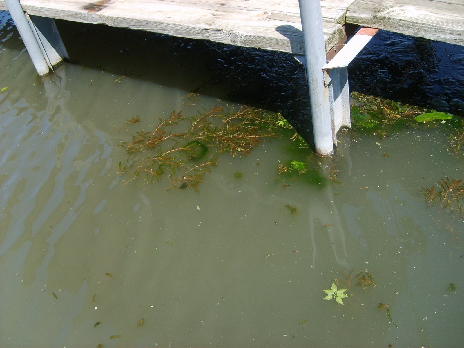 [Fishing+Memorial+Day+016.JPG]