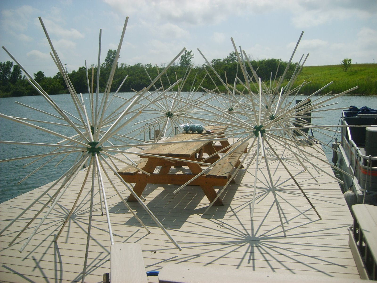 [porcupine+fish+attractors+005.JPG]