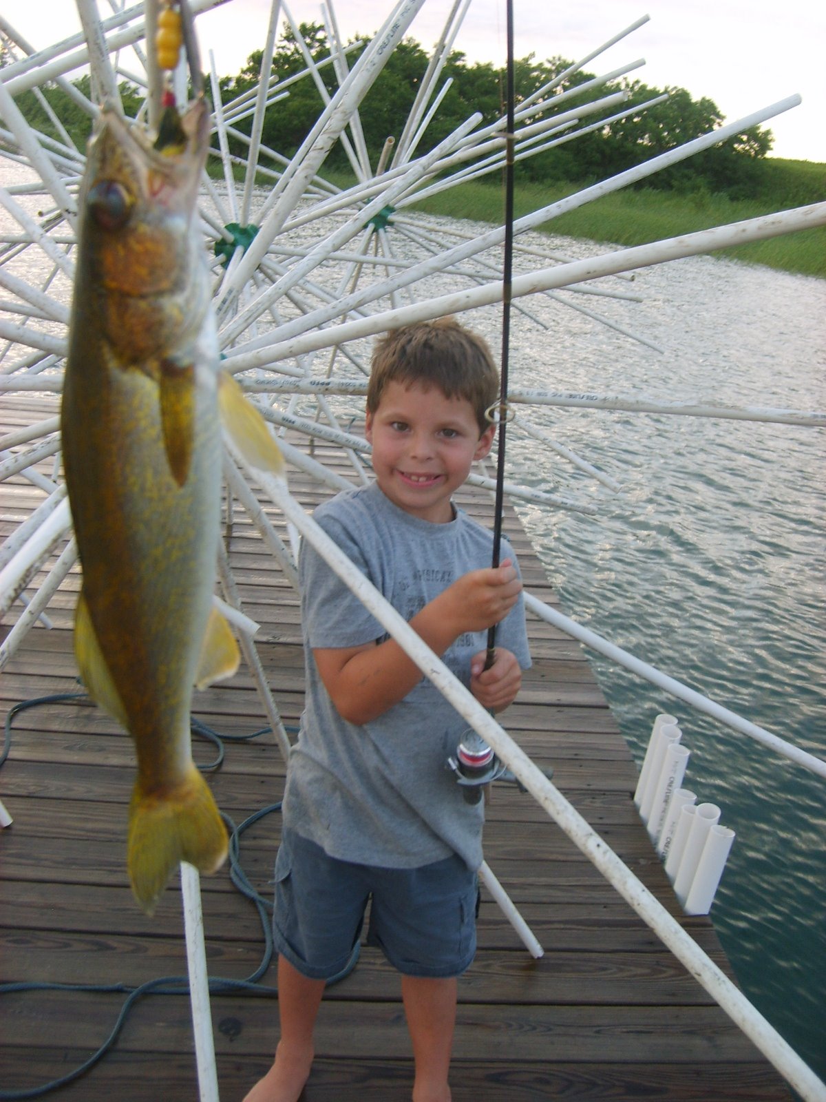 [porcupine+fish+attractors+034.JPG]