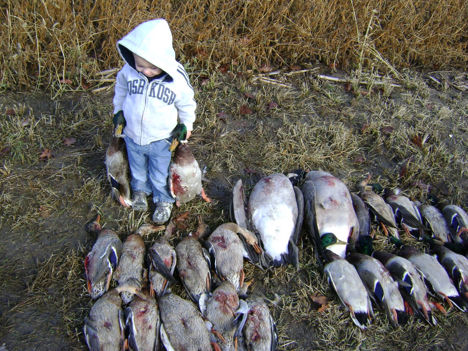 [duck%20hunting%20014-1.JPG]