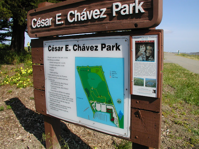 2006 - Chávez Park Sign Upgrade