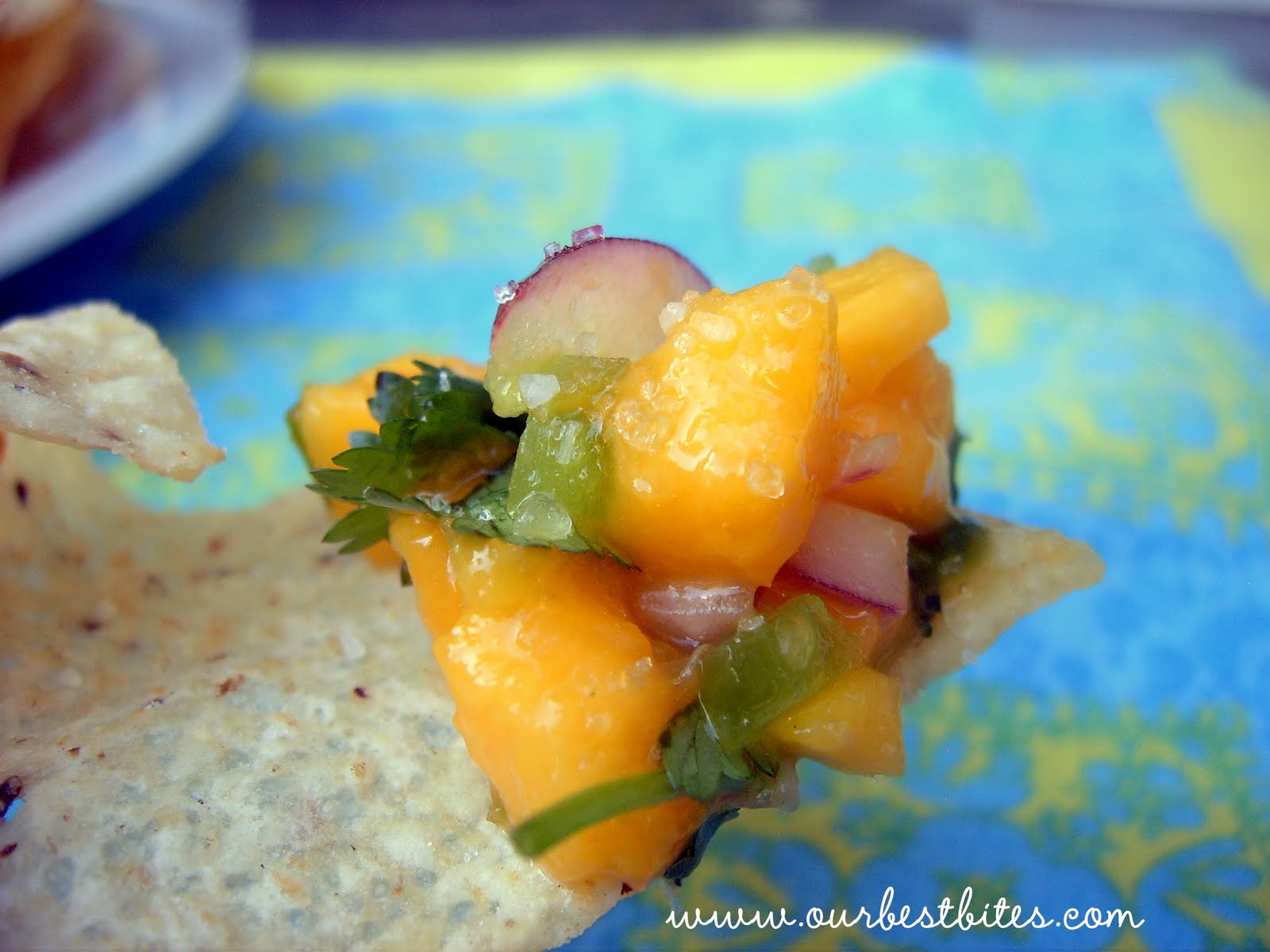 Mango Pico De Gallo Our Best Bites