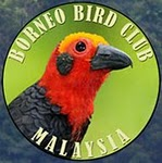 Borneo Bird Club: