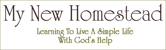 My New Homestead Learning To Live A Simple Life, With God's Help