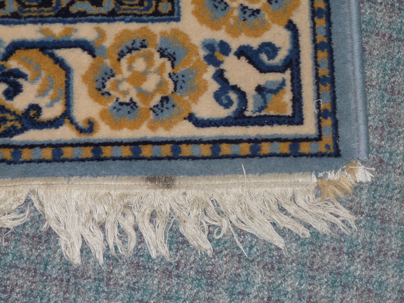 Area Rug Cleaning SpecialistsVictoria BC How would your rug look