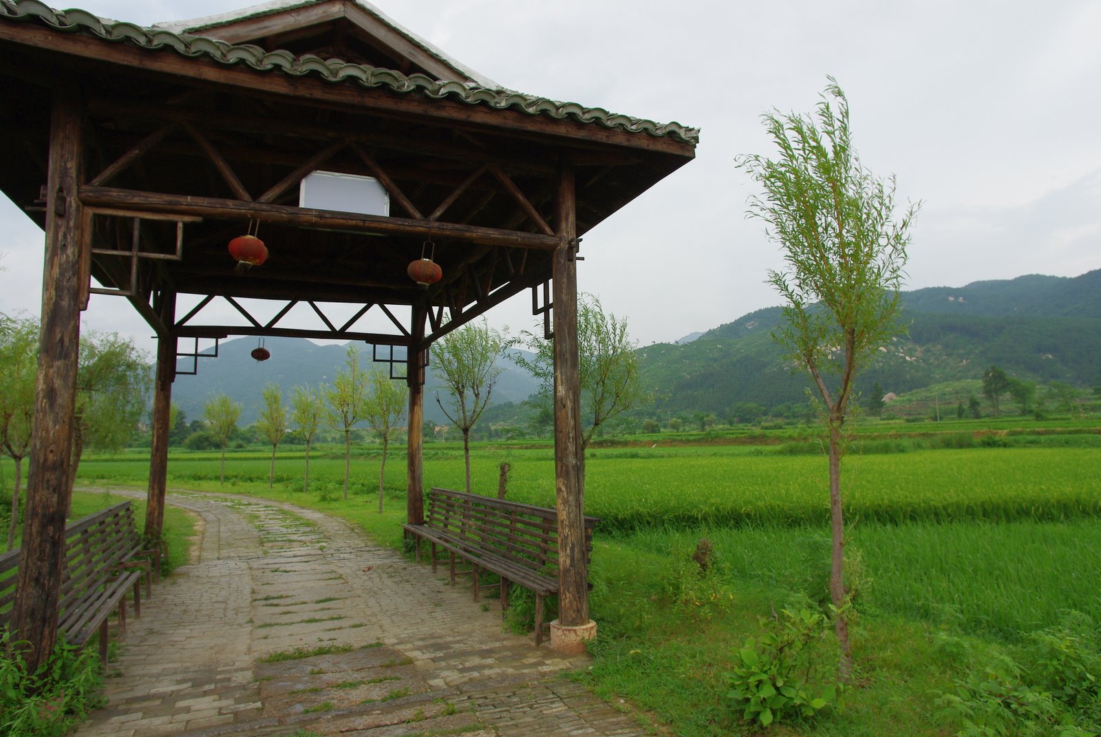 [Nanchang&Wuhan+109.JPG]