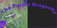 I love the color purple & I love dragonflies.