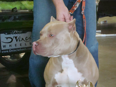 TorqueAtomicDogShow1.JPG