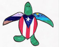 El tinglar: símbolo de Puerto Rico