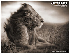 Jesus o leão da tribo de Judá  Ap 5.5