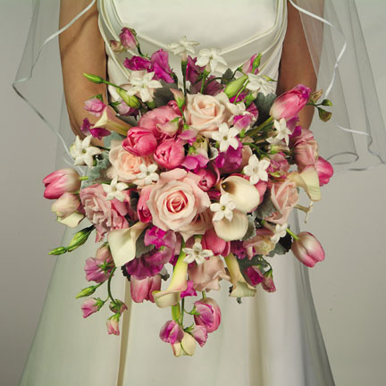 [Pink-rose_white-freesia_bouquet.jpg]