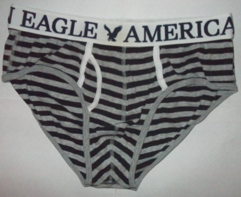 Brief Obsession Critiquing Underwear American Eagle Classic Low Rise Briefs