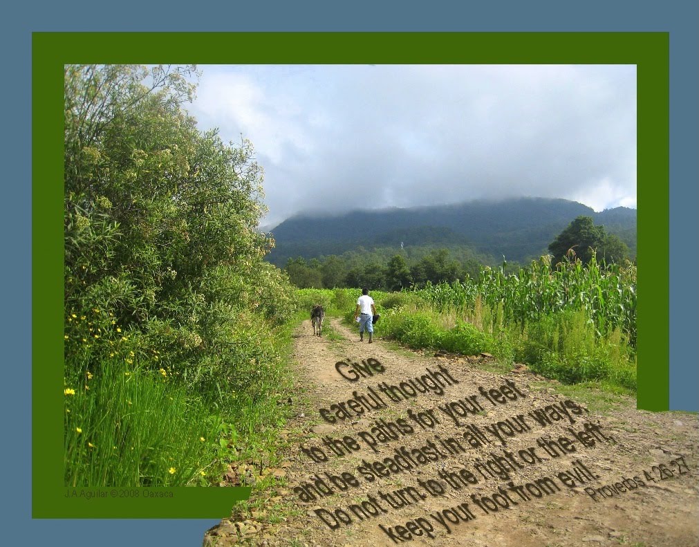 inspiration-for-you-proverbs-4-26-27