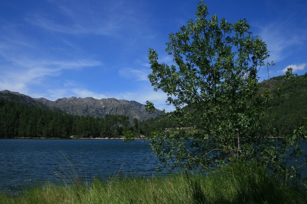 [2007.06.07+1+002.jpg]