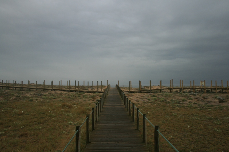 [2008.07.11+021.jpg]