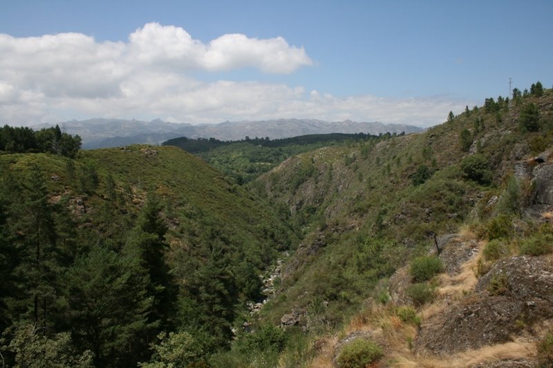 [2008.07.26+1+008.jpg]