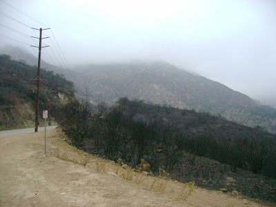 Malibu Canyon Road