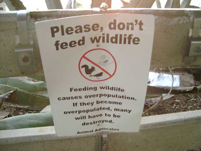 Don't Feed the Wildlife