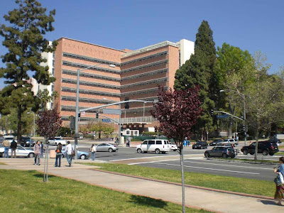 UCLA Medical Center - Westwood