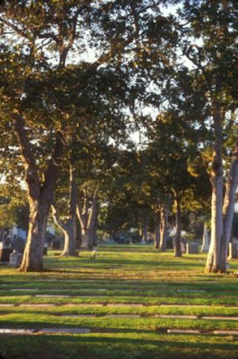 The Grove at Woodlawn Cemetery - Santa Monica