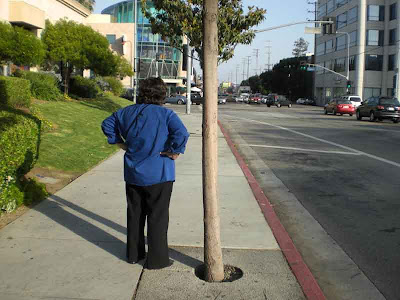 Waiting in Blue - West L.A.