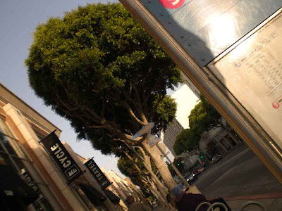 The Big Blue Bus Stop - 5th and Santa Monica Blvd