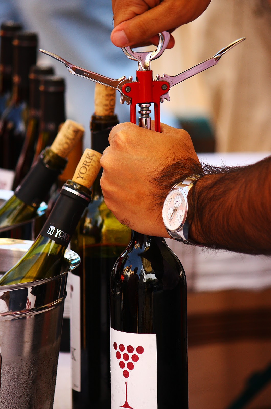 SANDEEP MENON PHOTOGRAPHY Pune Wine Festival Dec 2010