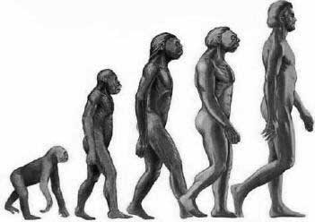 [darwin_evolucao_2.jpg]